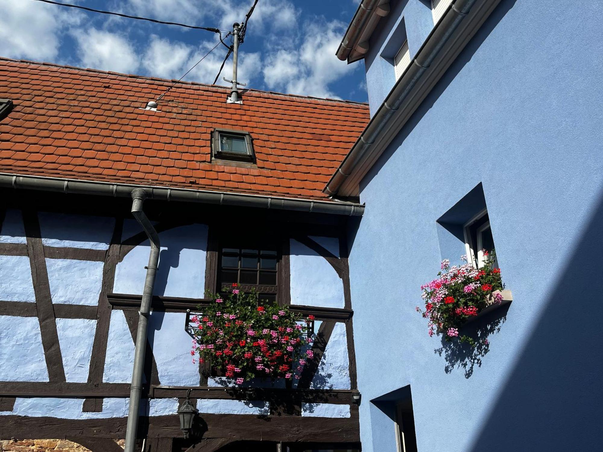 Les Chambres Du Marlenberg Marlenheim Dış mekan fotoğraf